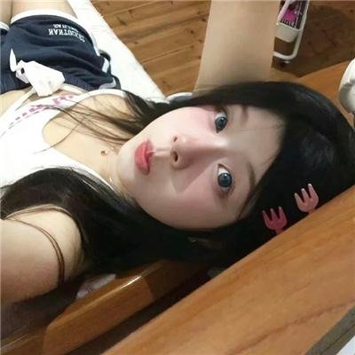 欢乐树的朋友们
